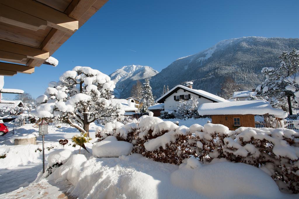 Bergblick Appartement *